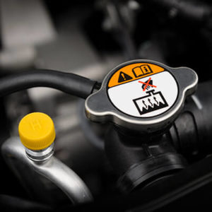 automotive label example